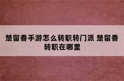 楚留香手游怎么转职转门派 楚留香转职在哪里